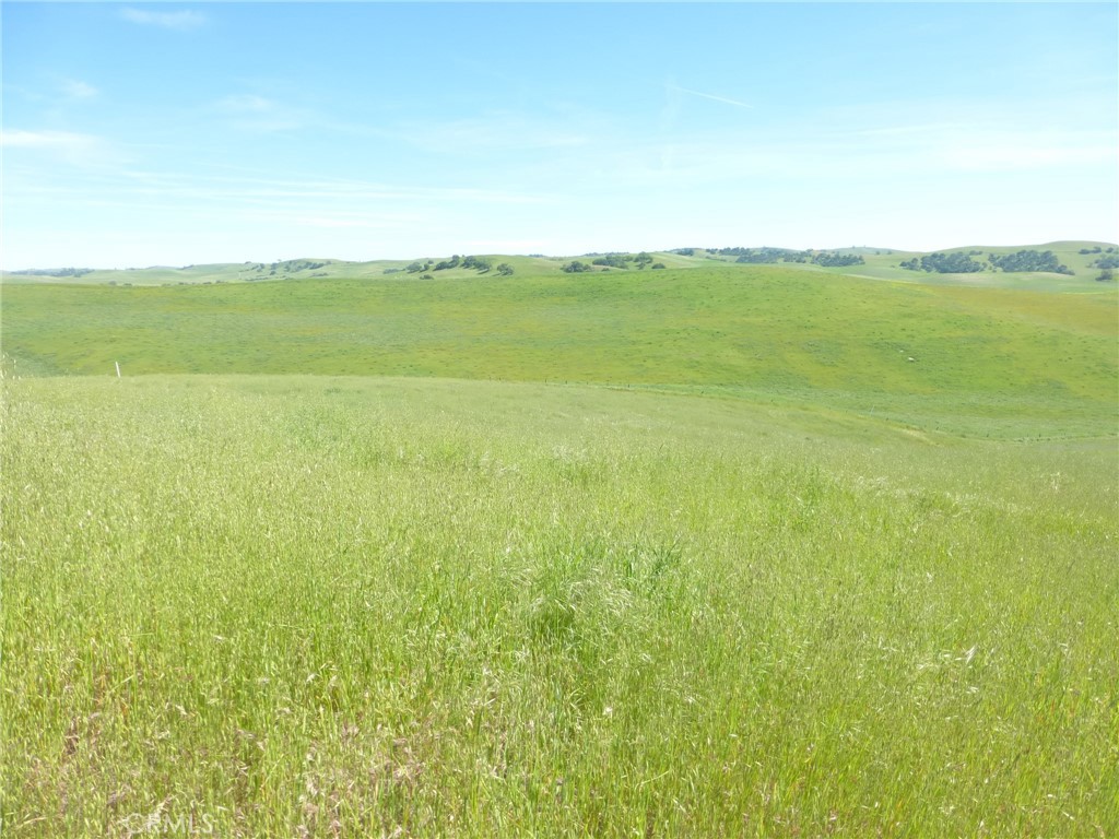 0 Douglas Rd. (lot 43) Property Photo 11