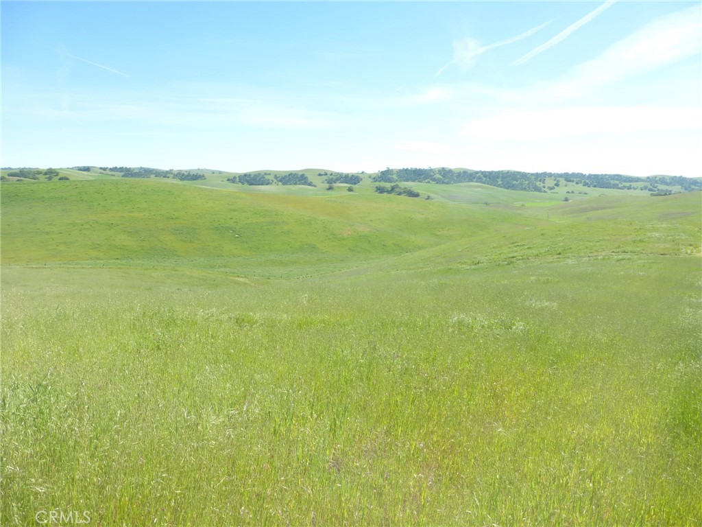 0 Douglas Rd. (lot 43) Property Photo 12