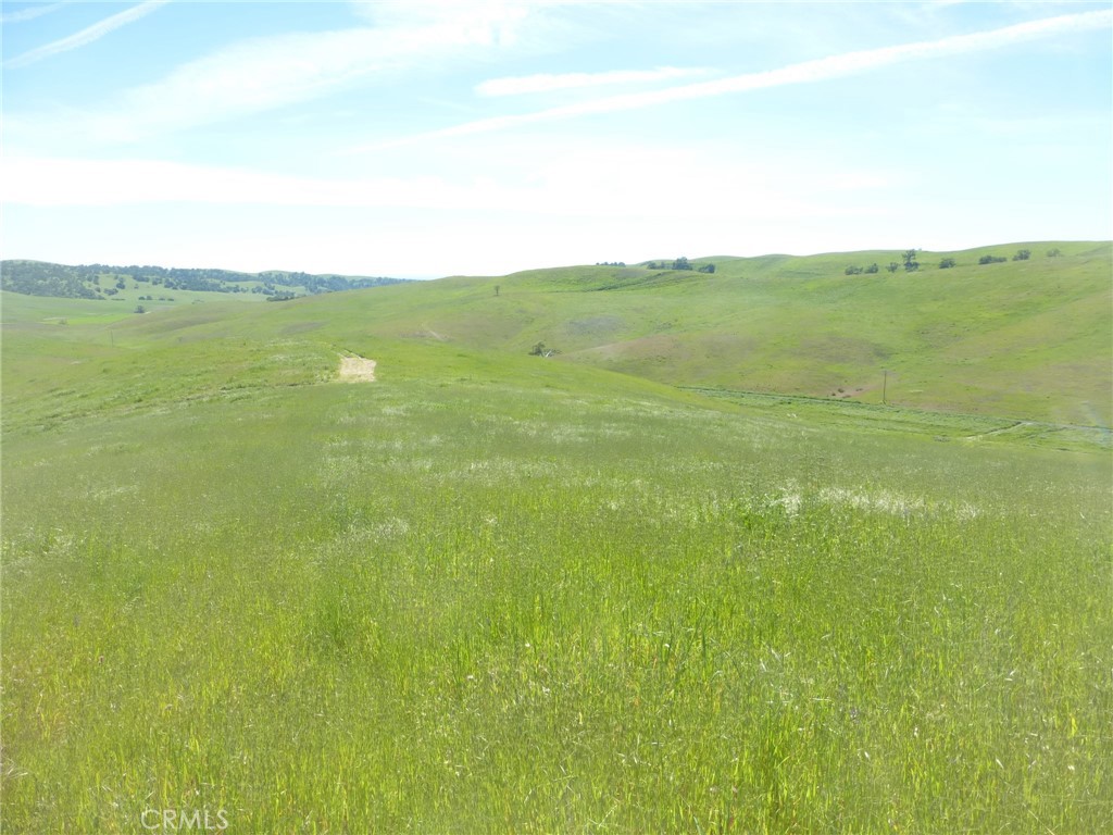 0 Douglas Rd. (lot 43) Property Photo 13