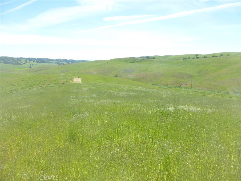 0 Douglas Rd. (lot 43) Property Photo 13
