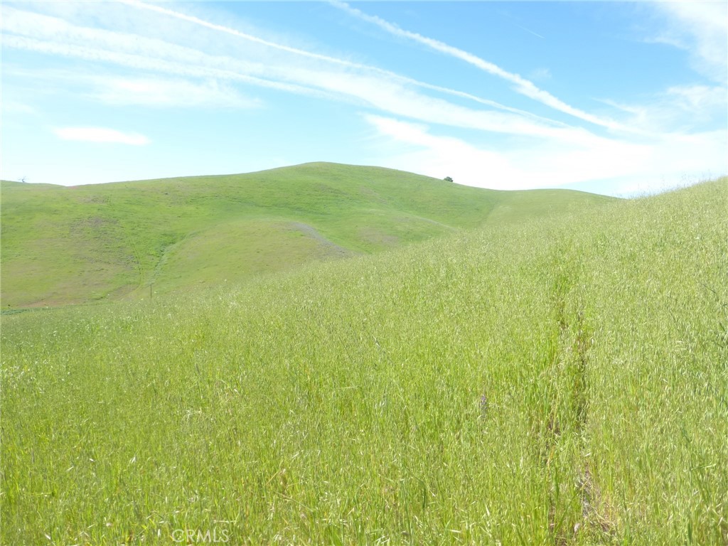 0 Douglas Rd. (lot 43) Property Photo 15