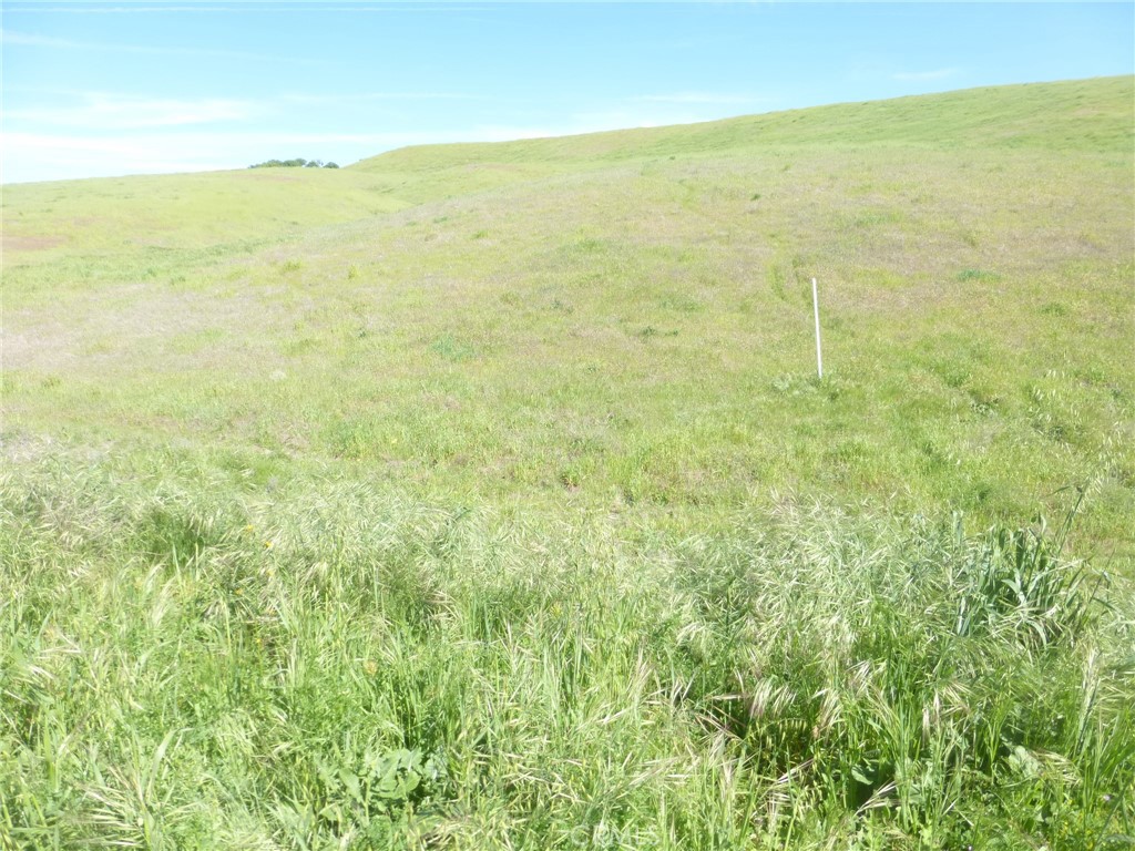 0 Douglas Rd. (lot 43) Property Photo 17