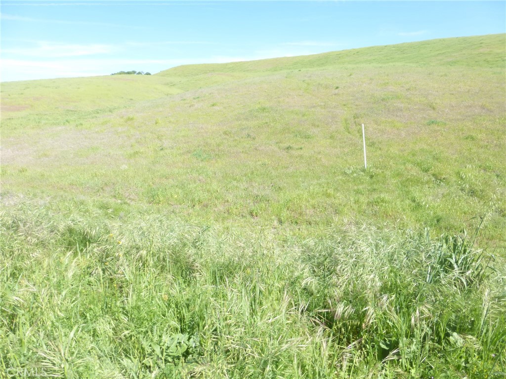 0 Douglas Rd. (lot 43) Property Photo 17