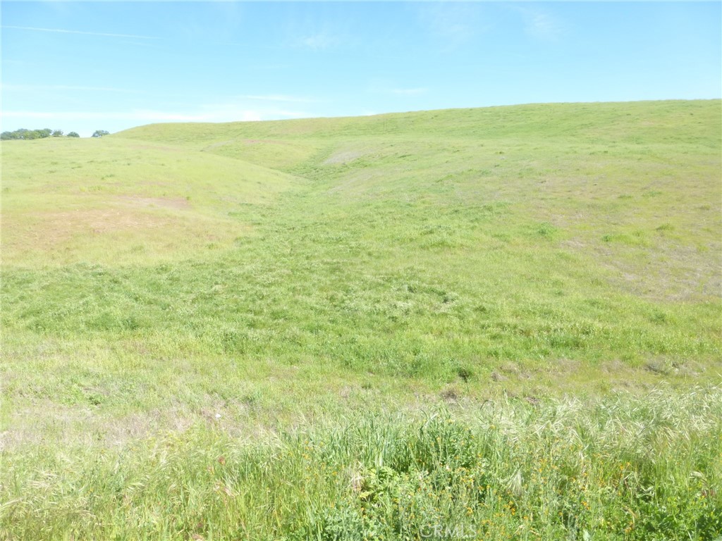 0 Douglas Rd. (lot 43) Property Photo 21