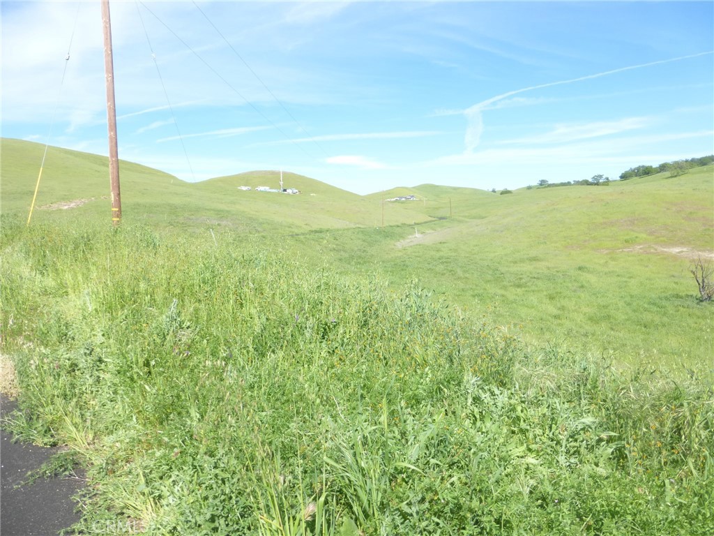 0 Douglas Rd. (lot 43) Property Photo 26