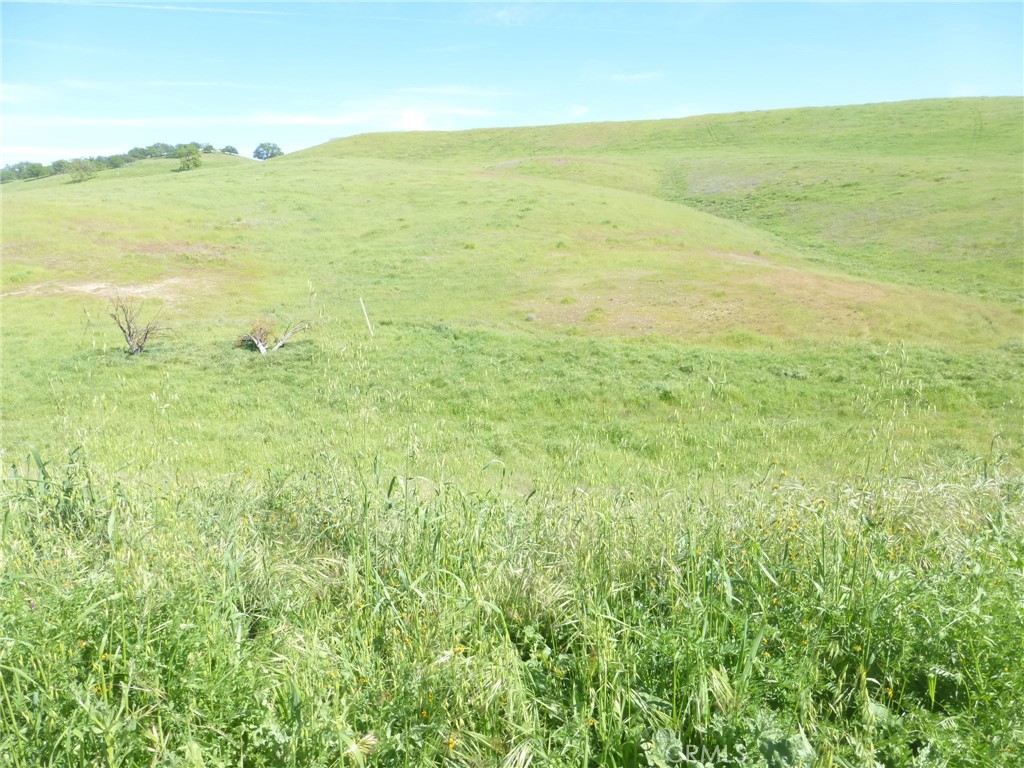 0 Douglas Rd. (lot 43) Property Photo 27