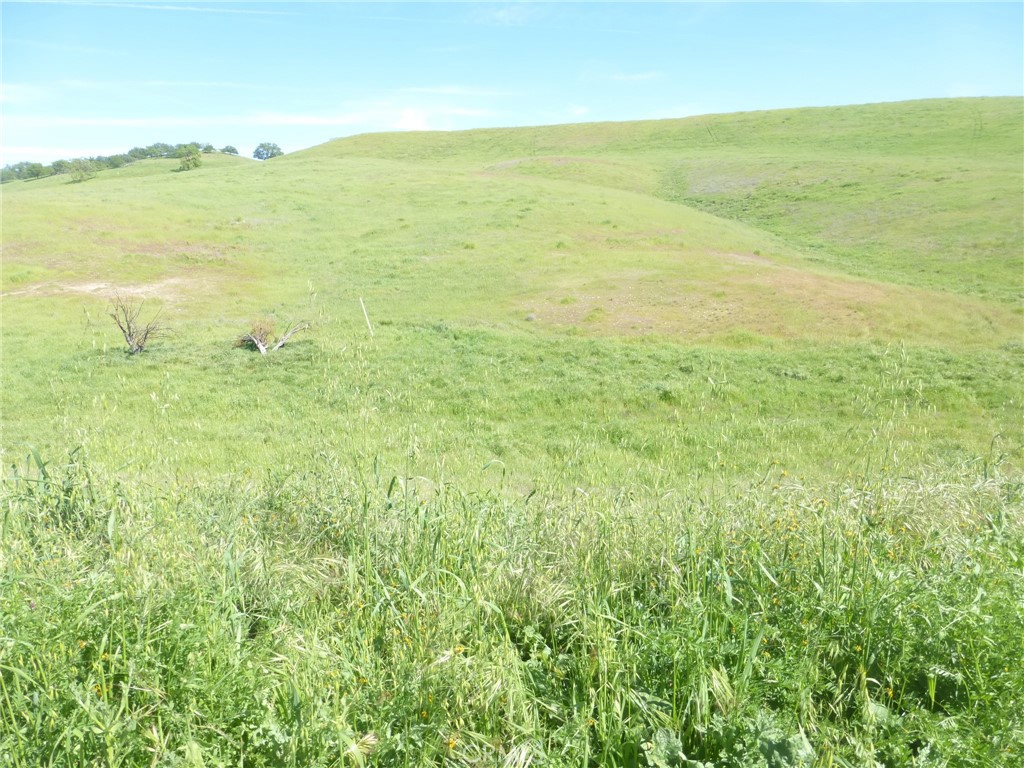 0 Douglas Rd. (lot 43) Property Photo 27