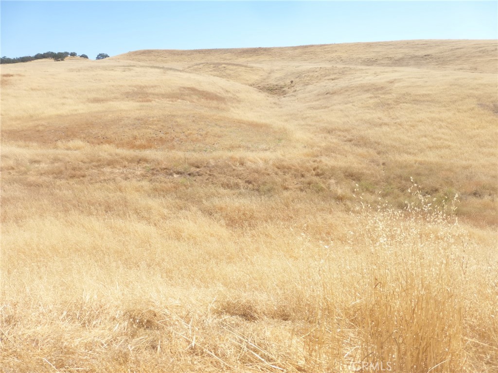 0 Douglas Rd. (lot 43) Property Photo 35