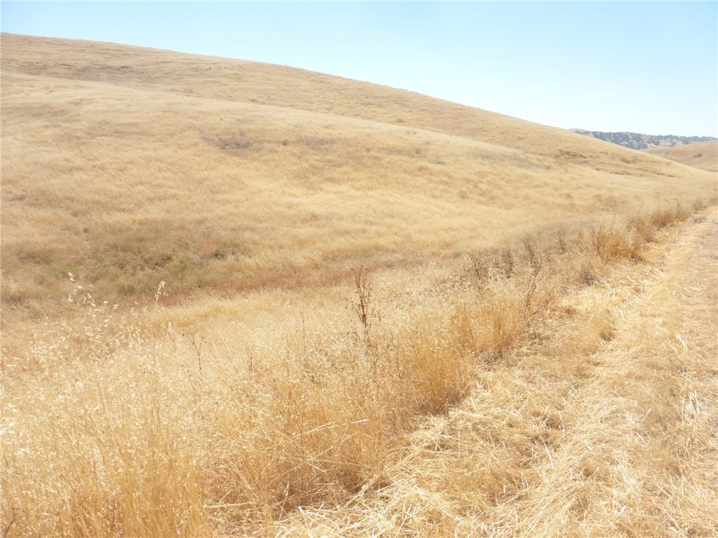 0 Douglas Rd. (lot 43) Property Photo 36