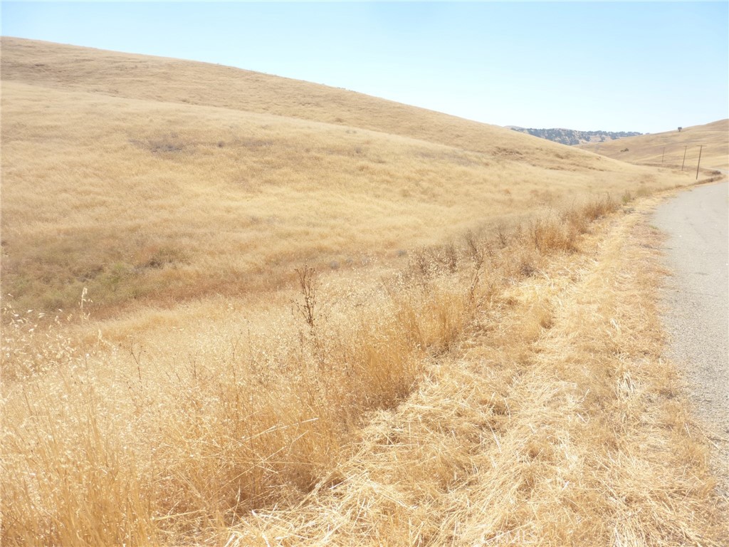 0 Douglas Rd. (lot 43) Property Photo 37