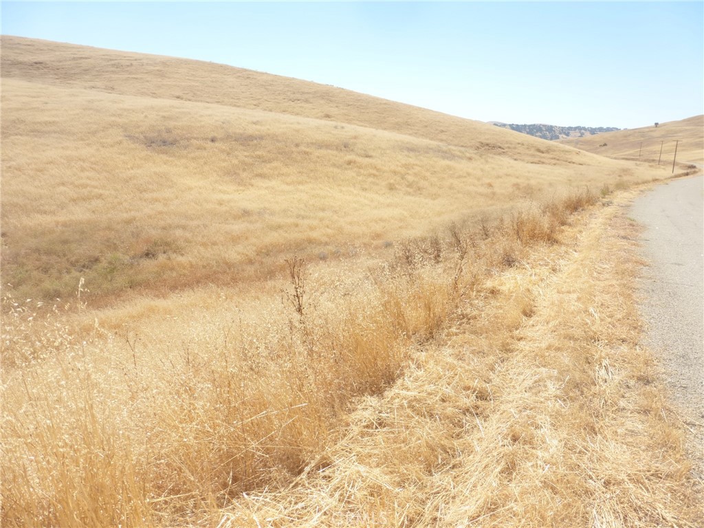 0 Douglas Rd. (lot 43) Property Photo 37