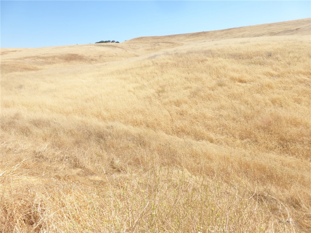 0 Douglas Rd. (lot 43) Property Photo 39