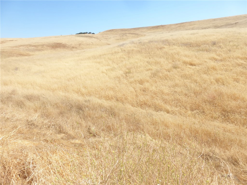 0 Douglas Rd. (lot 43) Property Photo 39