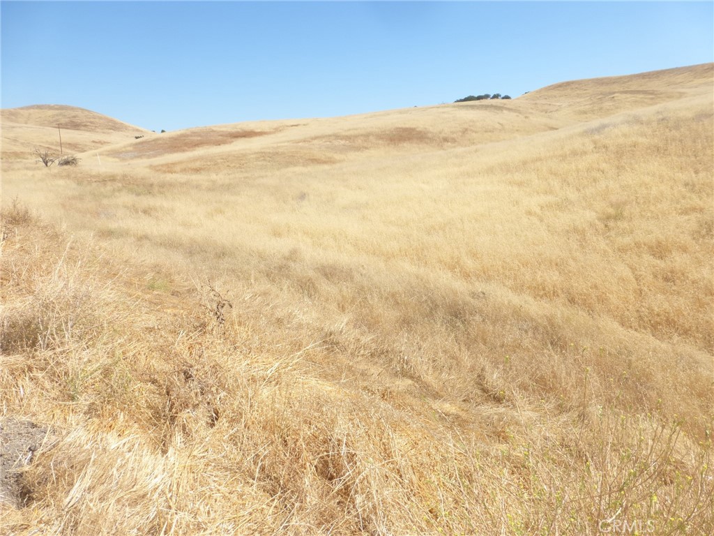 0 Douglas Rd. (lot 43) Property Photo 40