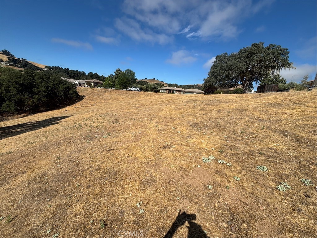 9974 Flyrod Drive Property Photo 3