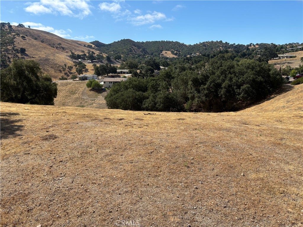 9974 Flyrod Drive Property Photo 6