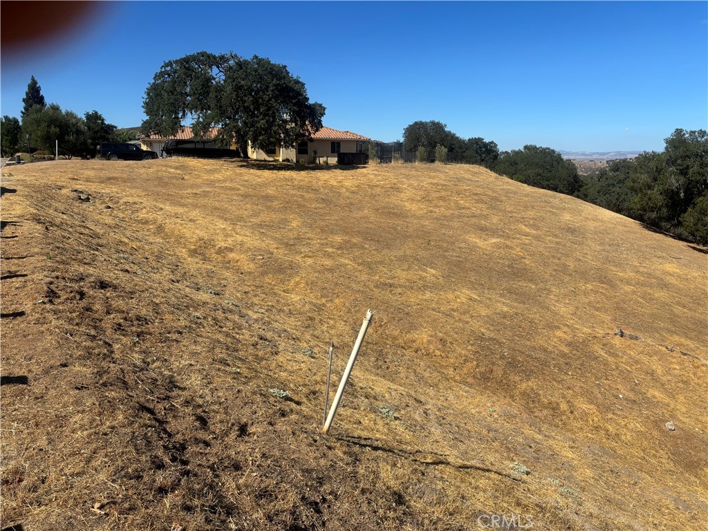 9974 Flyrod Drive Property Photo 8