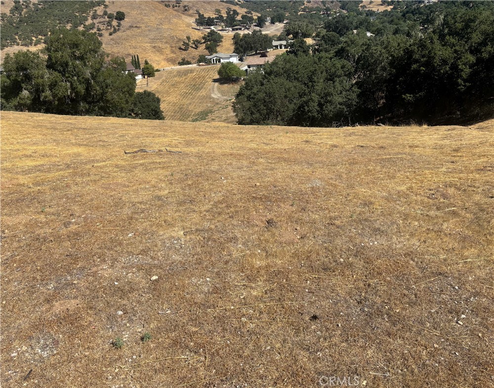 9974 Flyrod Drive Property Photo 10
