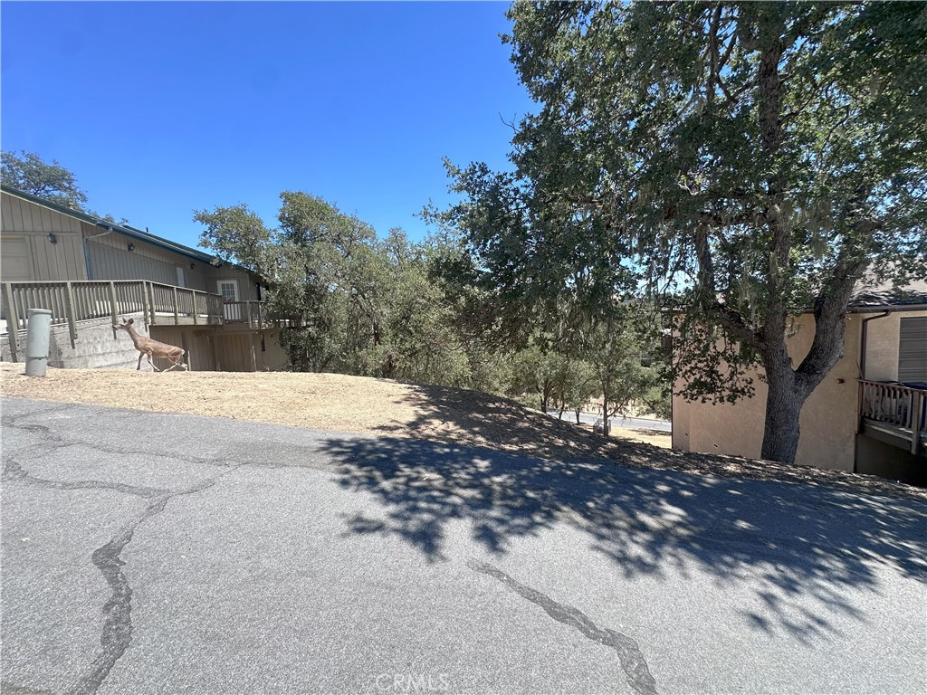 2434 Stern Deck Road Property Photo 3
