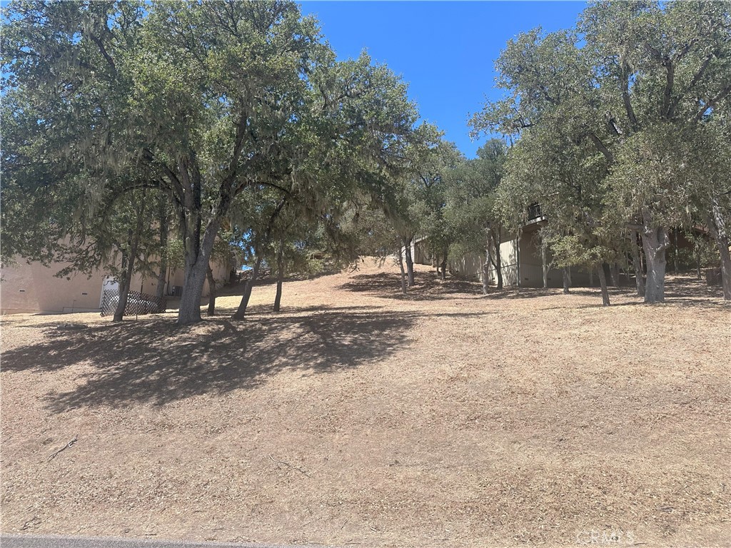 2434 Stern Deck Road Property Photo 5