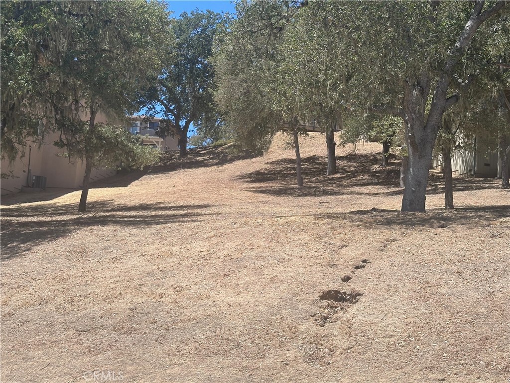 2434 Stern Deck Road Property Photo 6