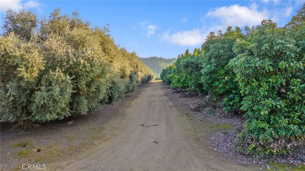 19400 398 Property Photo 11