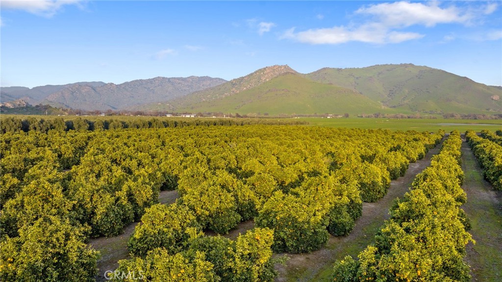 19400 398 Property Photo 51