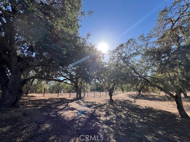 1810 Lot 28 Fire Rock Loop Property Photo 3