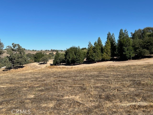 1810 Lot 28 Fire Rock Loop Property Photo 7