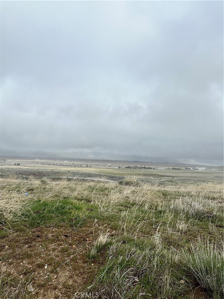 0 Dotty Court Property Photo 3