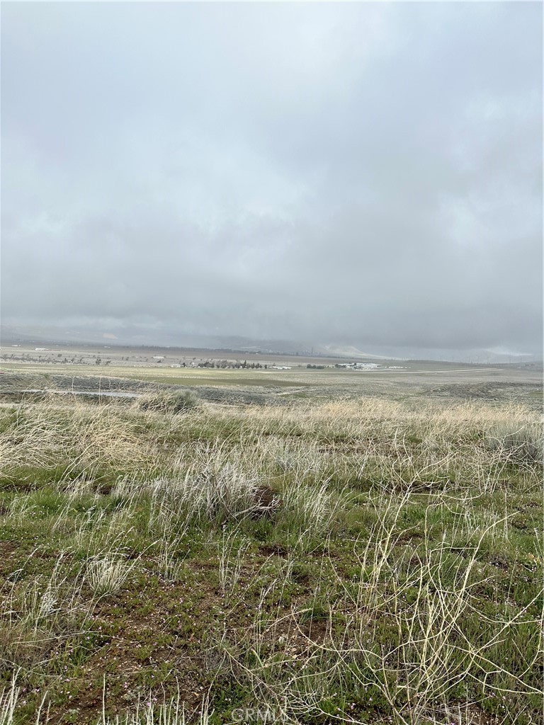 0 Dotty Court Property Photo 4