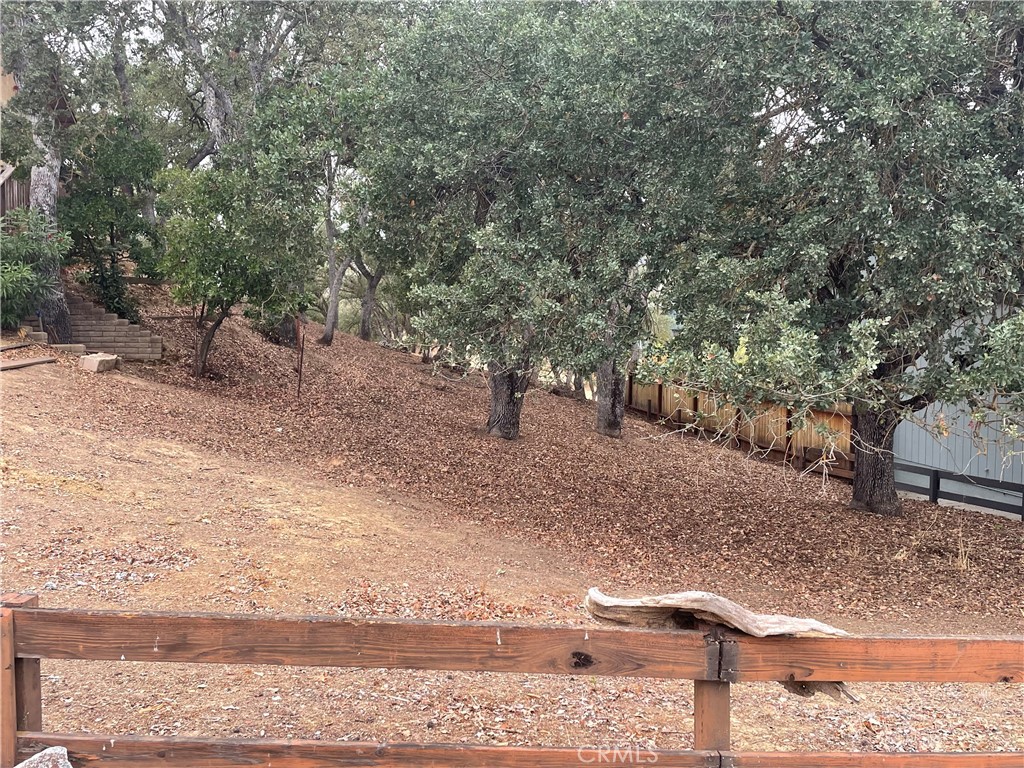 5003 Pretty Doe Property Photo 2