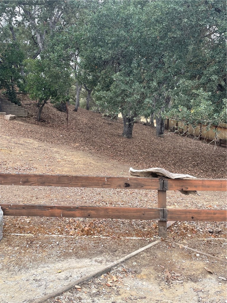 5003 Pretty Doe Property Photo 3