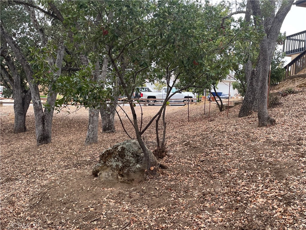 5003 Pretty Doe Property Photo 4