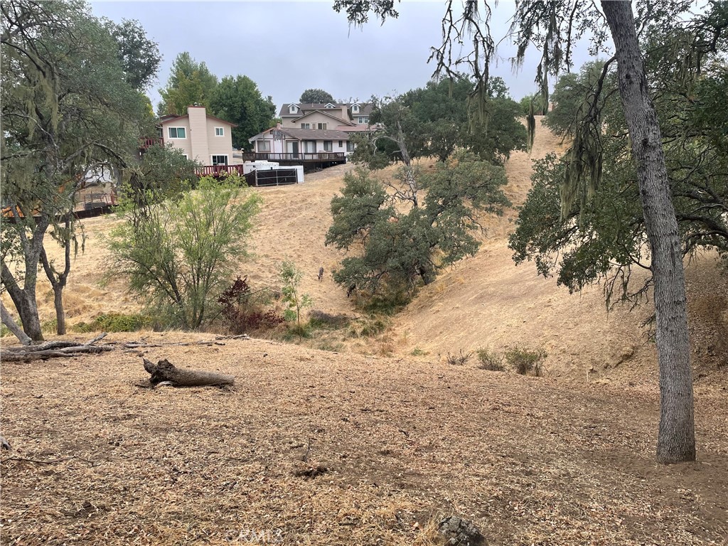 5003 Pretty Doe Property Photo 5