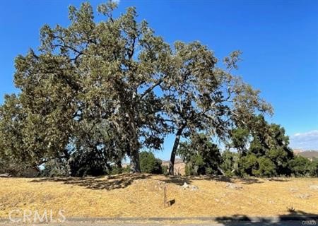 9970 Bluegill Drive Property Photo 3