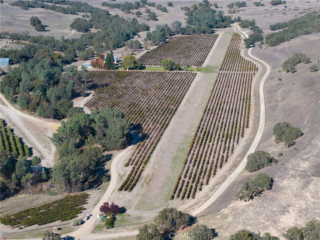 77620 Lowes Canyon Road Property Photo 15