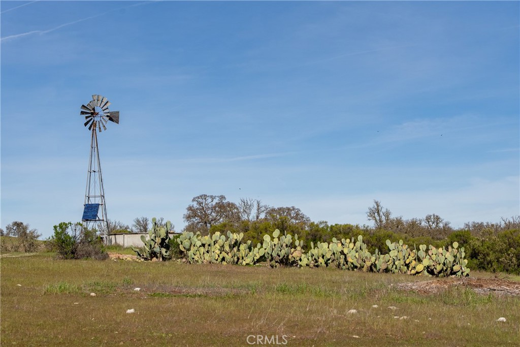 77620 Lowes Canyon Road Property Photo 63