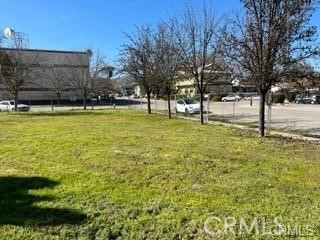 1446 Park Property Photo 1