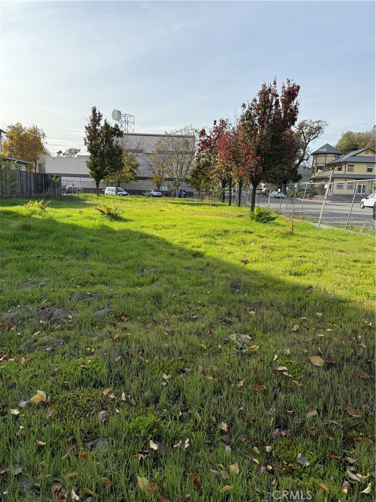 1446 Park Property Photo 3