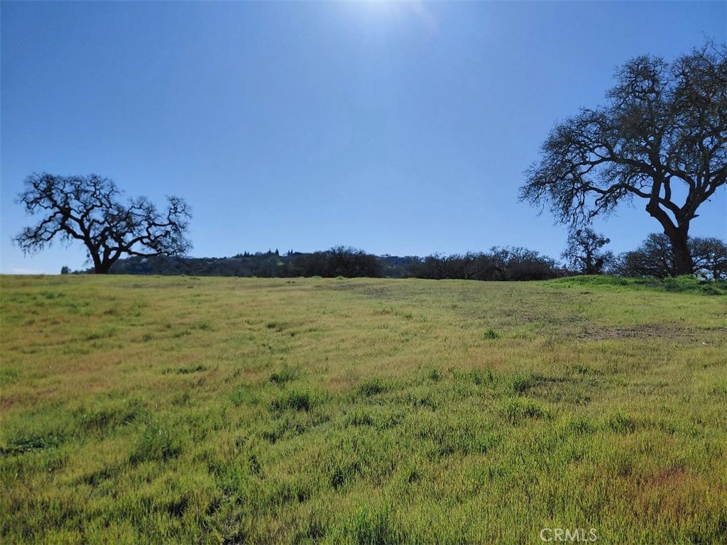 1920 Fire Rock Loop Property Photo 3