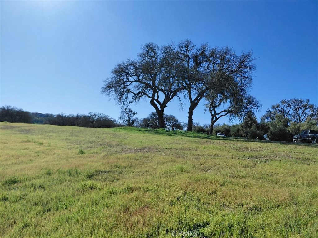 1920 Fire Rock Loop Property Photo 4