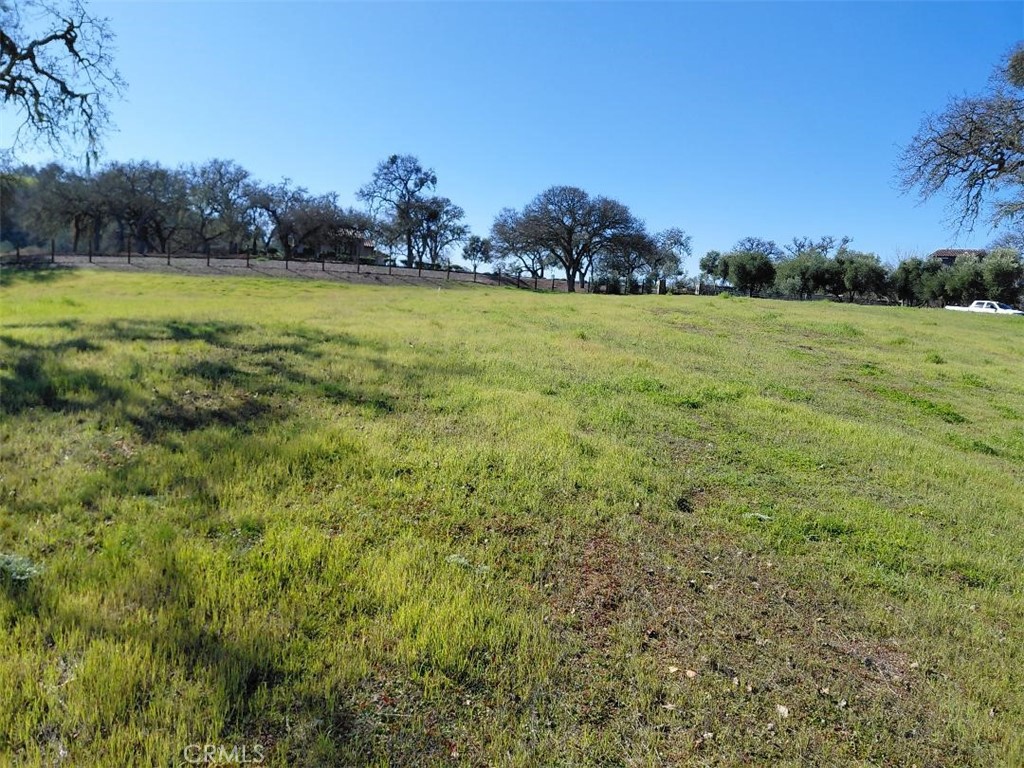 1920 Fire Rock Loop Property Photo 7