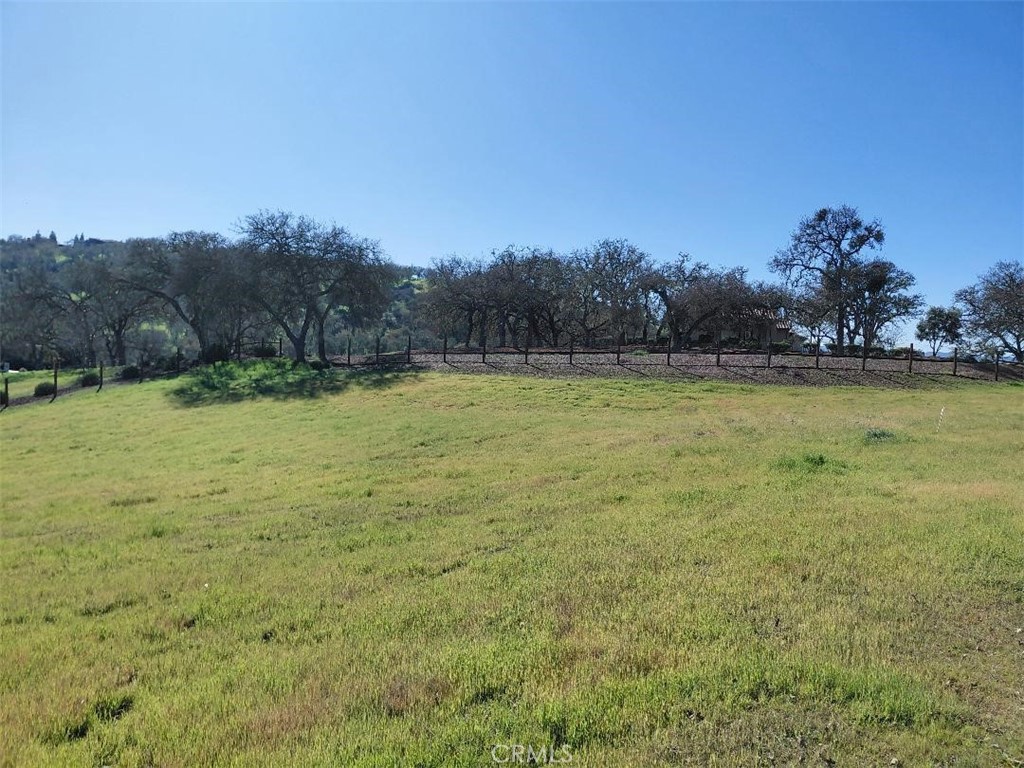 1920 Fire Rock Loop Property Photo 12