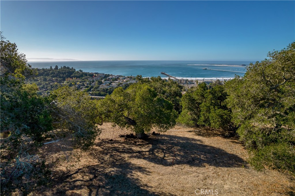 2665 Vista De Avila Property Photo 5