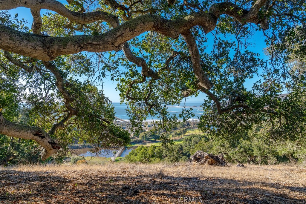 2665 Vista De Avila Property Photo 8