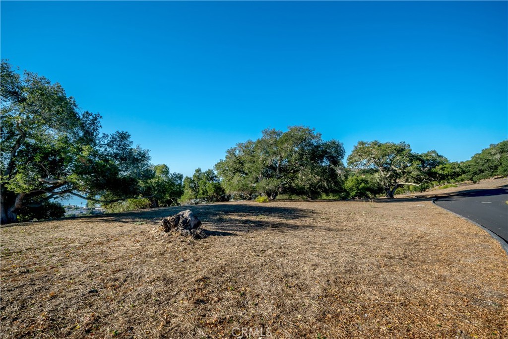 2665 Vista De Avila Property Photo 12