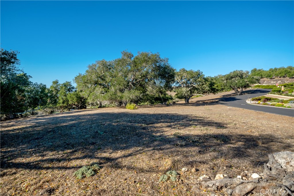 2665 Vista De Avila Property Photo 13