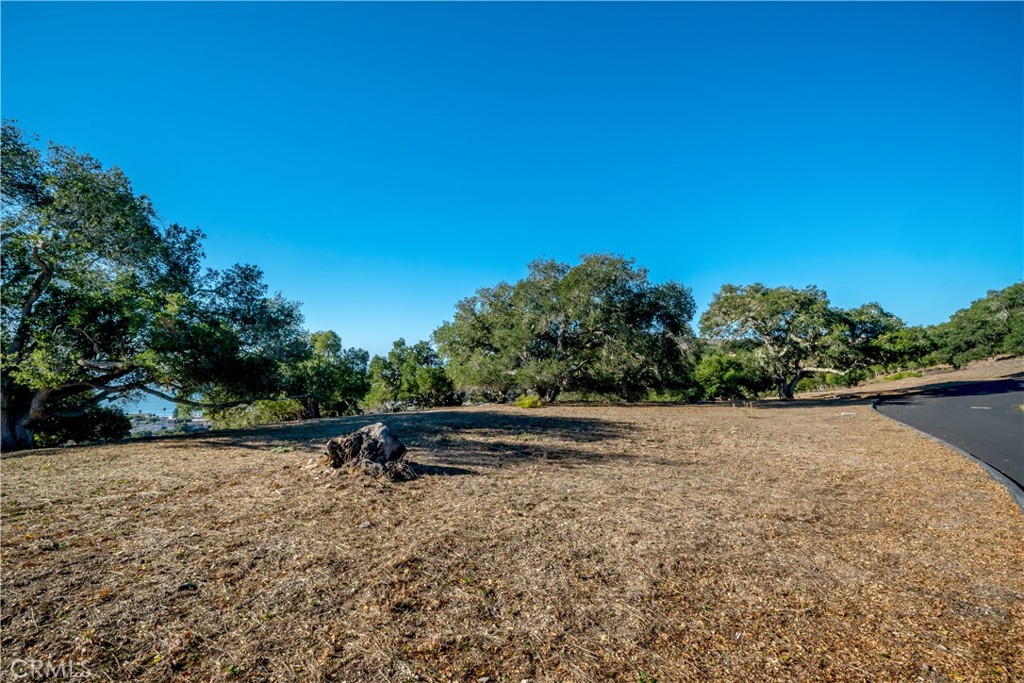 2665 Vista De Avila Property Photo 25