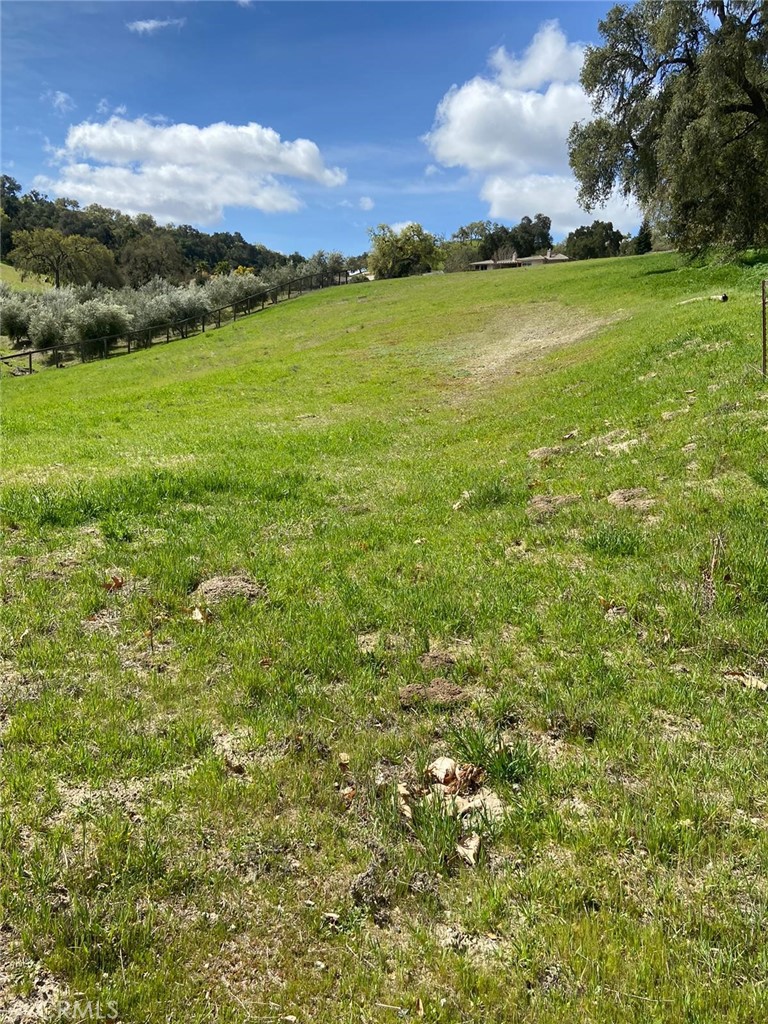 9915 Flyrod Drive Property Photo 18